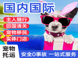 丹东浪头航空空运国际宠物托运 【国